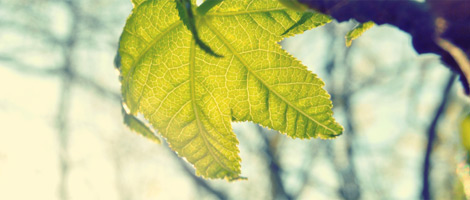 怎么去攻击一个网站与防护