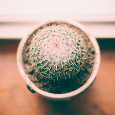 网站攻击软件工具