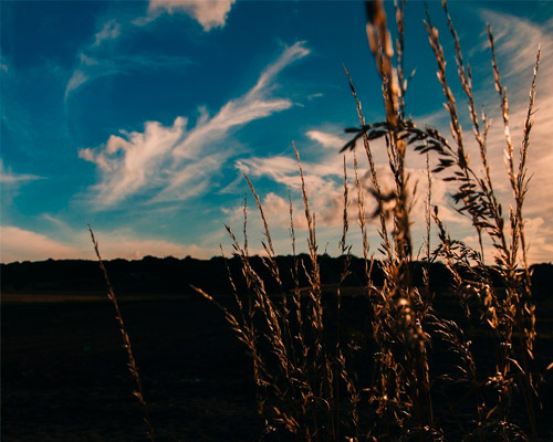 智能匹配精确的免费ddos在线攻击测试网站